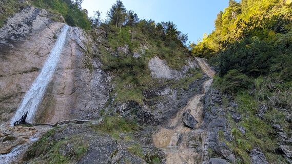 Fotografija s spletne strani twuest na poti