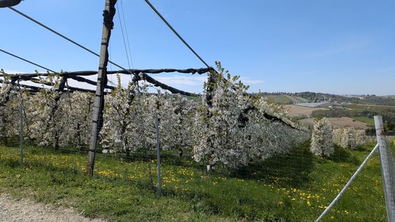 Foto von Karl Greindl entlang der Tour