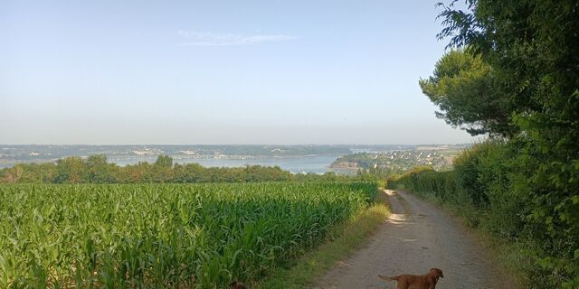 Foto von Sandra K. 2 entlang der Tour