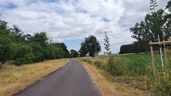 Am Altmarkrundkurs Etappe Havelberg nach Genthin - Elbehangkante bei Schönhausen Damm