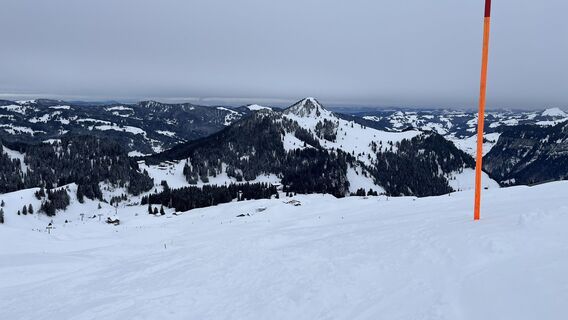 Photo de Laurinbossanaz le long du parcours