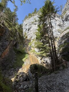 Fotografija s spletne strani Babs Holz na poti