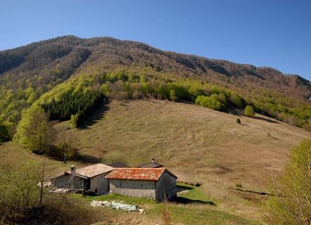 Zemljevid