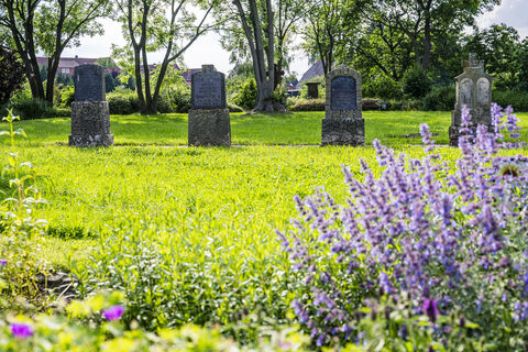 Bardowick alter Ortskern