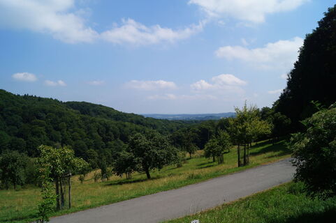 Ausblick an der Löwenburger Obstwiese