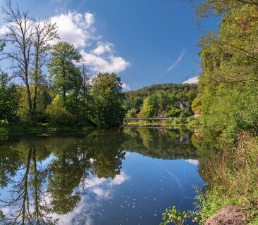 Elster bei Neumühle