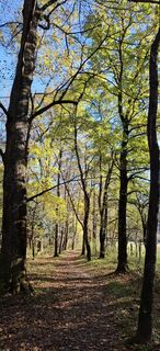 Fotó a anastasia berguglia honlapról a túra során