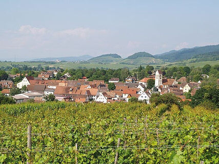 Britzingen Weinlandschaft