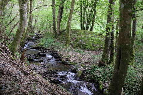 Zdjęcie z Günter Kleutsch wzdłuż trasy
