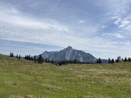 Fotografia z Heinz Sperl na trase