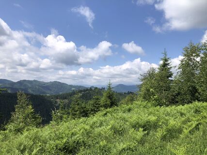 Foto de Erich Trattner a lo largo del recorrido