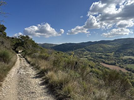 Photo de Wupper-Martin le long du parcours