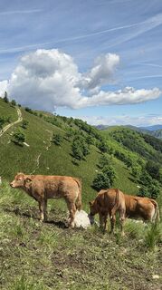 Photo de Klementina Gartner le long du parcours