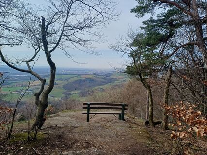 Foto von Andrea Rothbauer entlang der Tour