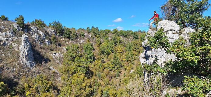 georando sorbs 28 -@ Sylvie Villedieu - CD34