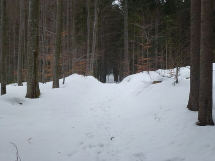 Wanderweg nach Waldhäuser