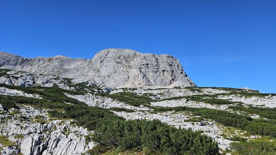 Fotografija s spletne strani RonaldG na poti