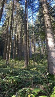 Foto von Gergely Fülöp (Phelype) entlang der Tour