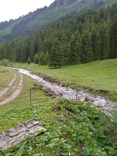 Foto von Gertiziegenhals entlang der Tour
