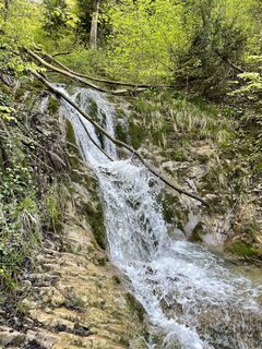 Fotografia z Francis Ebert na trase