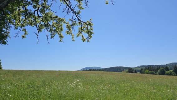 Fotografija s spletne strani Matthias Neidhardt na poti