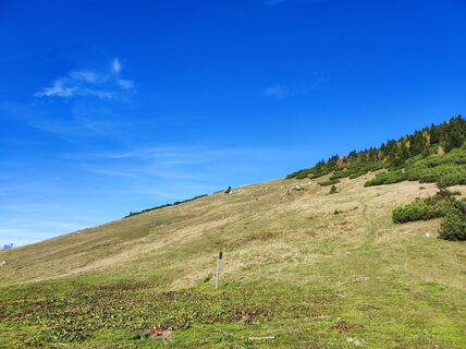 Foto von Michi Moder entlang der Tour