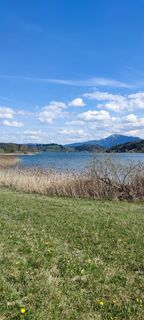 Fotografija s spletne strani Thomas Klein na poti