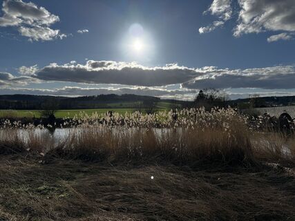 Fotografia z Schaali na trase