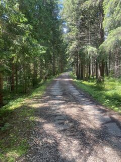 Foto de Gianberto Zilli a lo largo del recorrido