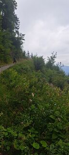 Foto von Daniel 102 entlang der Tour
