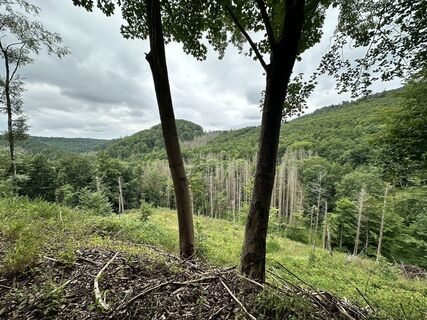 Foto von Sara B entlang der Tour