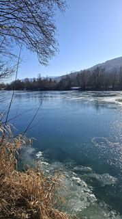 Foto von Mangolein entlang der Tour