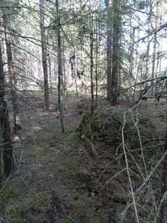 Photo de Tom (tommyp1608) le long du parcours