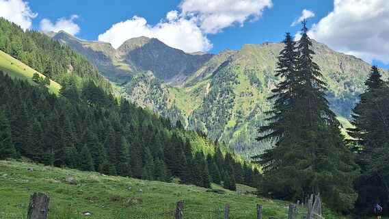 Foto von Susi Puhl entlang der Tour