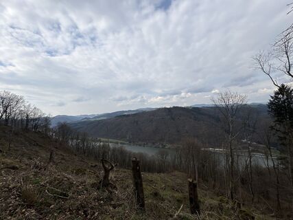 Foto de Gerhard Bruckner a lo largo del recorrido