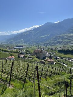 Foto von Peter Schäfer entlang der Tour