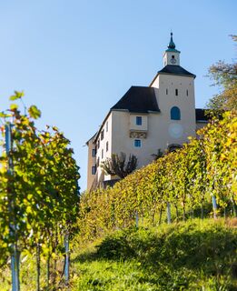 Schloß Thürn mit Weingarten