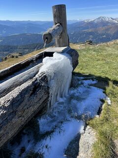 Photo de Schabsi le long du parcours