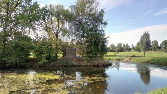 Dorfteich in Gränze