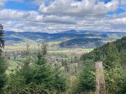 Blick übers Dreisamtal