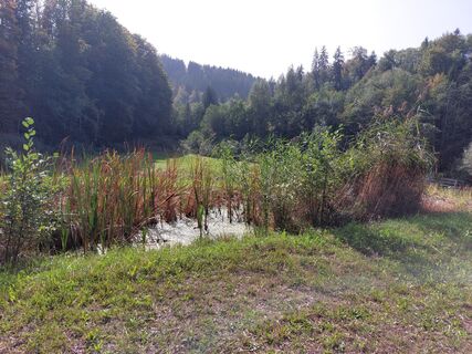 Kuva osoitteesta Jens Brunner matkan varrella