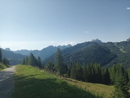 Fotografija s spletne strani Armando na poti