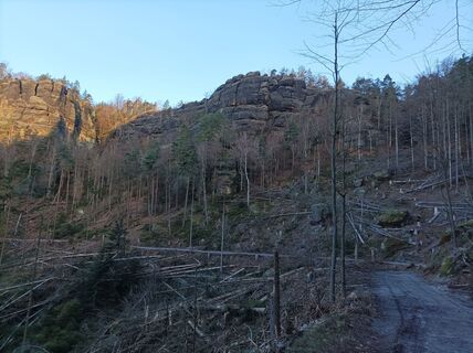 Foto van Felix Brandenburger langs de tour