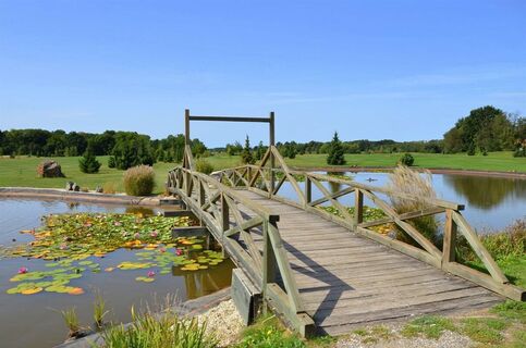 Viele Teiche in der Umgebung