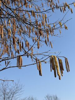 Fotografie z Reinhard Frewein na trase