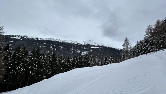 Photo de Alexander Dirksen le long du parcours