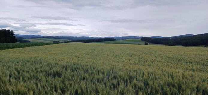 Foto da Helmut lungo il tour