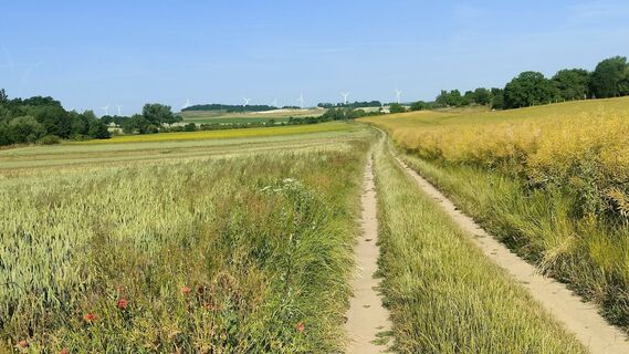 Foto från Stanisław Kawecki under resans gång