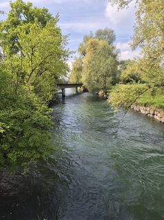 Zdjęcie z Thomi W wzdłuż trasy