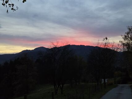 Fotografia z Timon Bertignoll na trase